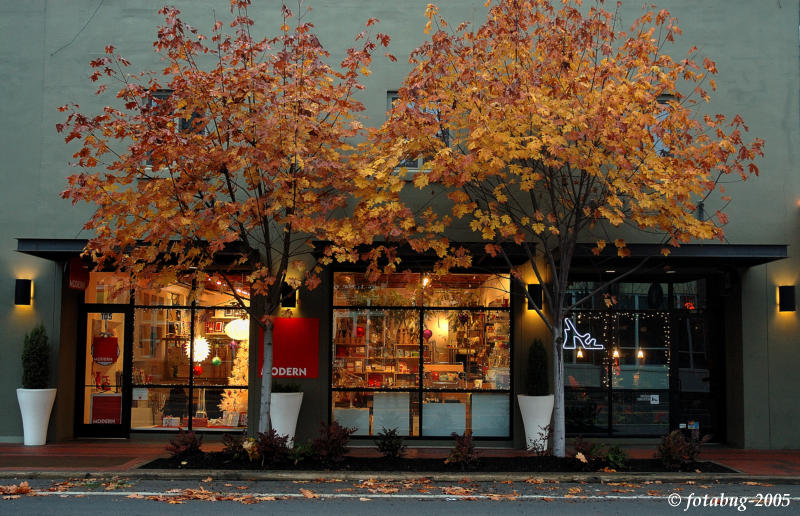 Downtown store - on 5th Street