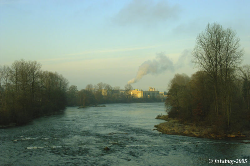 Willamette River scene