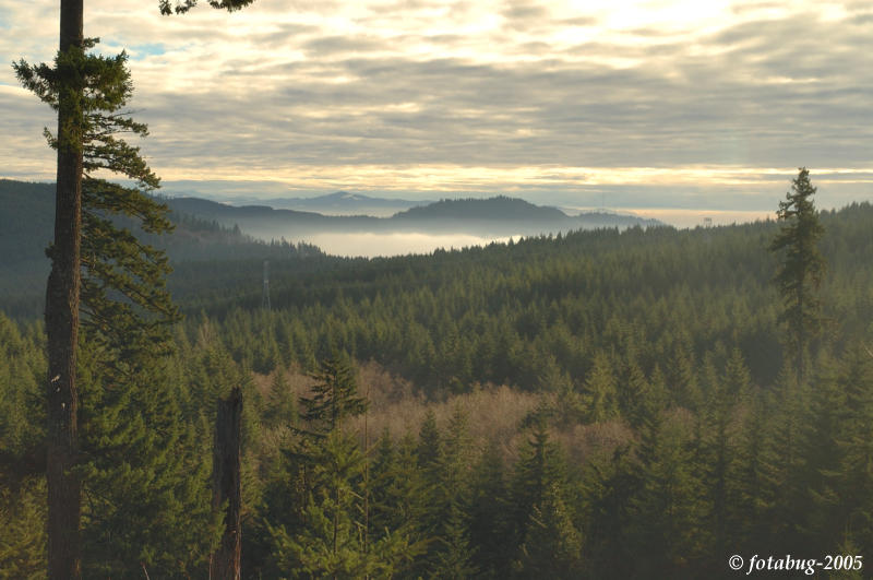 View from high in the Coburg Hills
