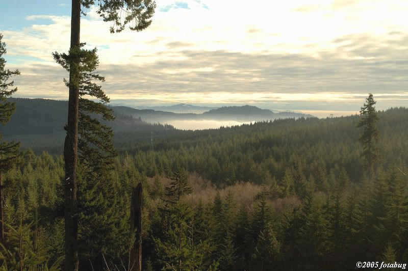 Another view from high in the Coburg Hills