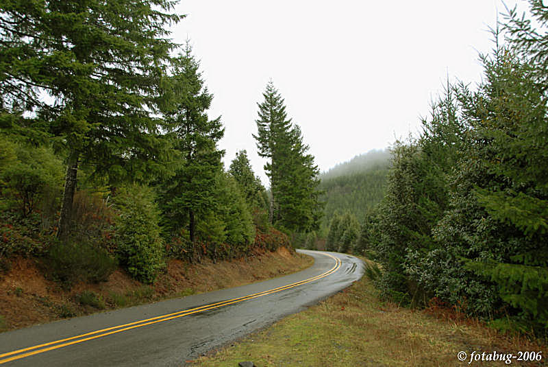 Mountain road