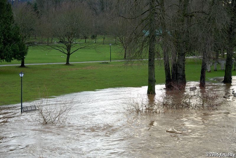 View of Alton Baker Park from Defasio Bridge #2