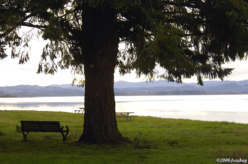 Bench with a view