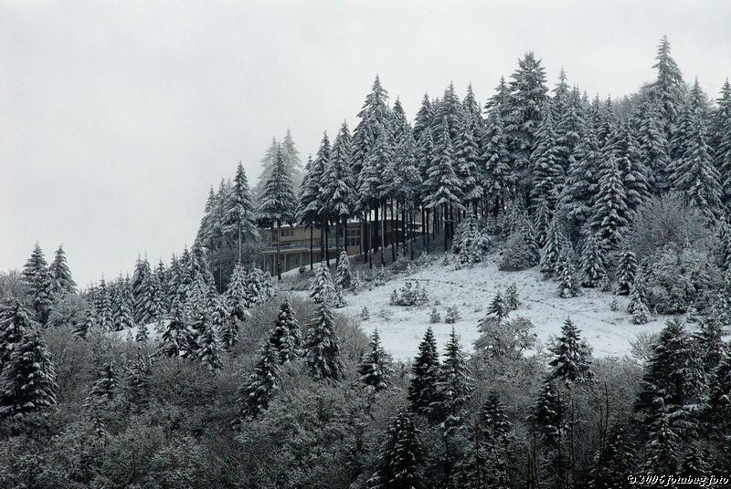 Hillside home