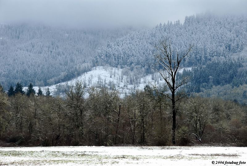 A view of the Coburg Hills
