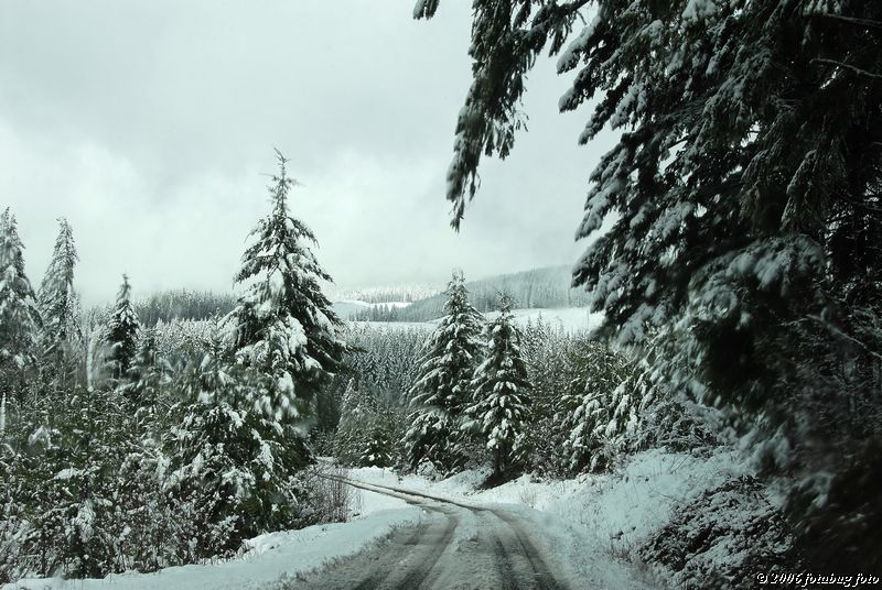 A lovely view of whats ahead