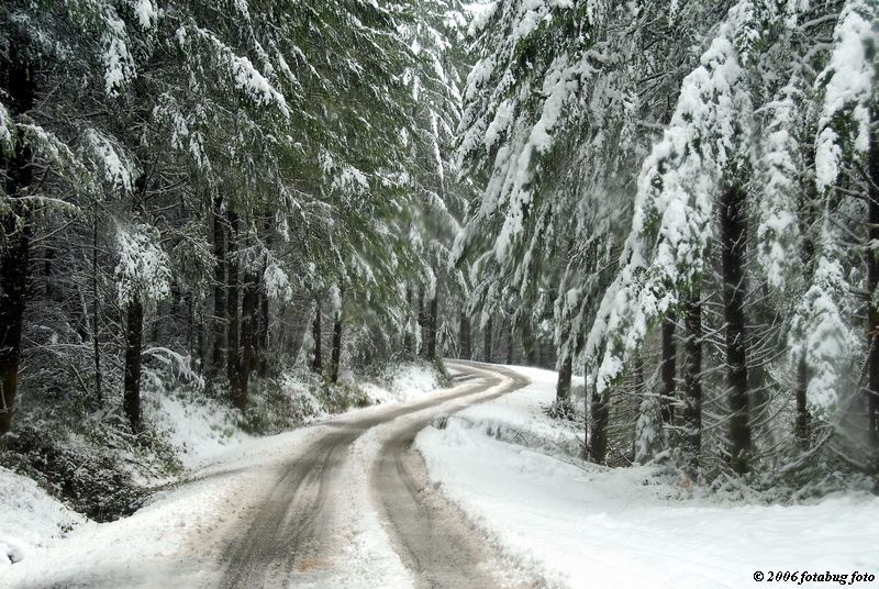 The road ahead - another view