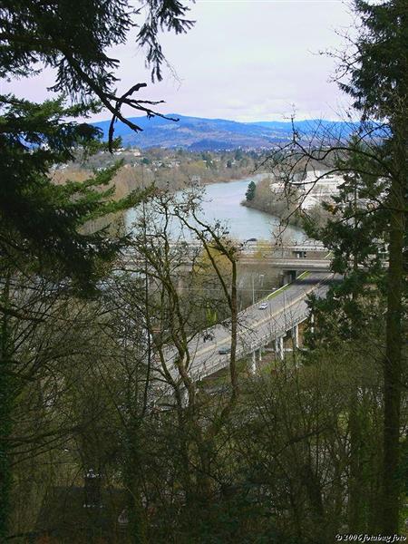 View toward Springfield from Judkins Point