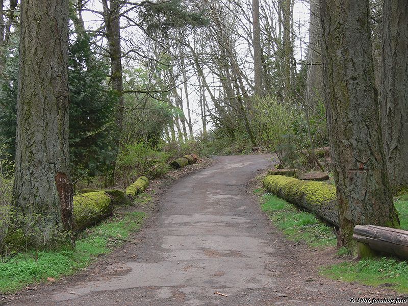 Trails beginning