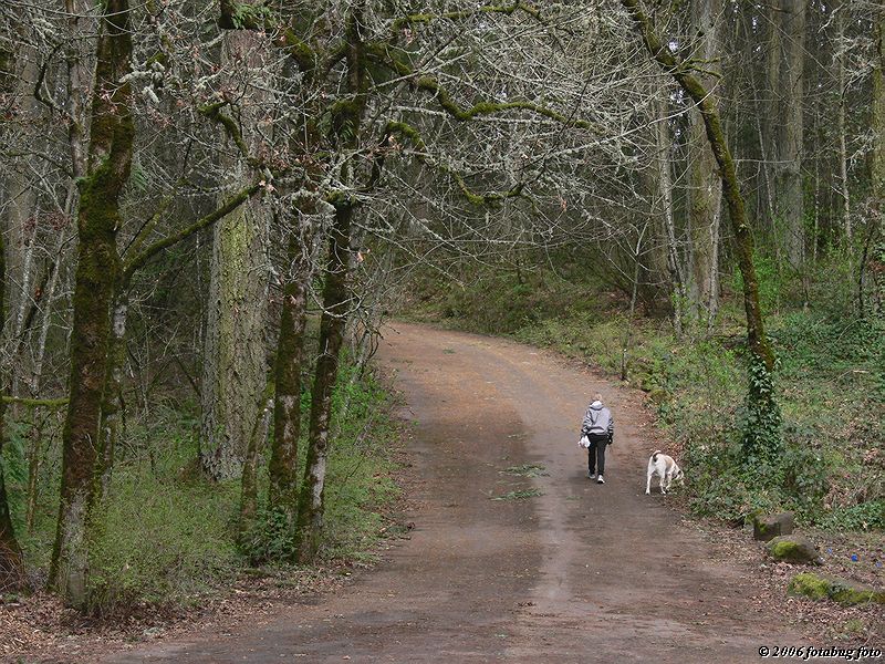 Walking her dog
