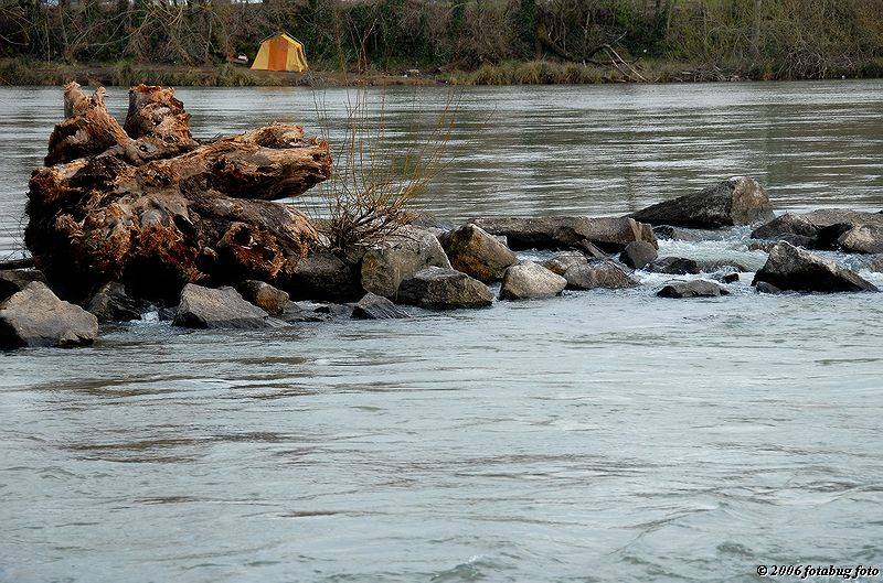 Camped out along the river