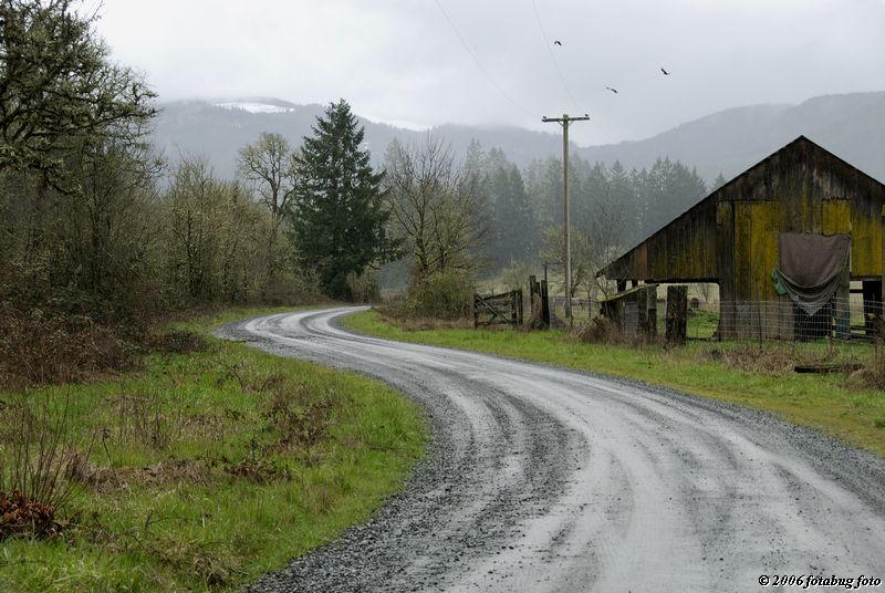 curves beyond the bridge