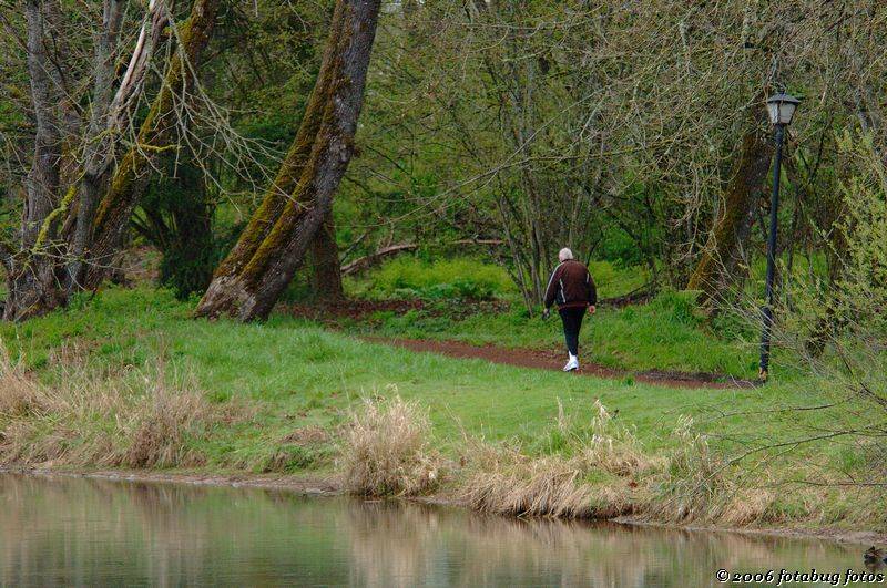 Walking on the trail