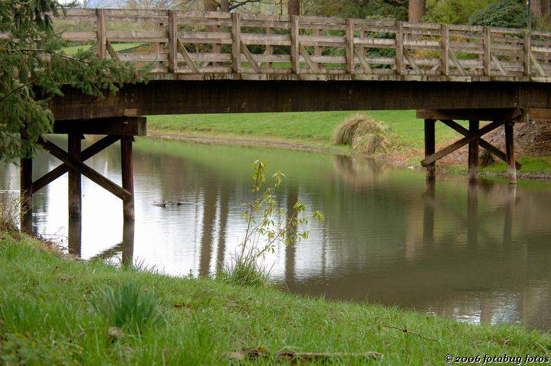 Bridge and stream