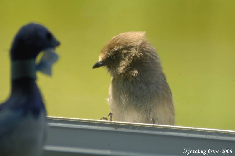 An intimate conversation