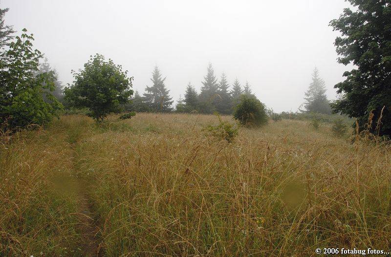 At the top of the hill