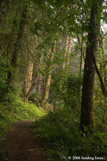 There is some light near the end of the trail  #2