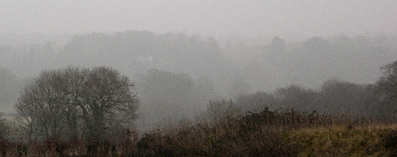 The world has grown grey<br>1 February 2006 (138)