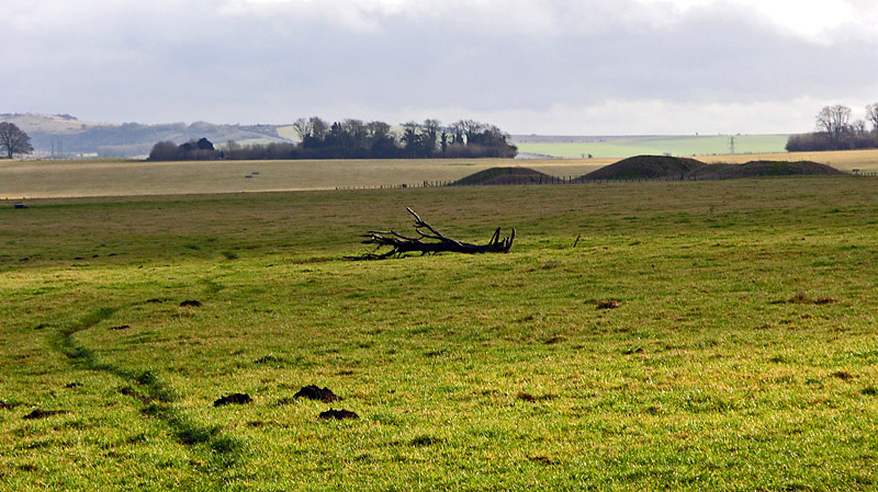 Cursus barrows