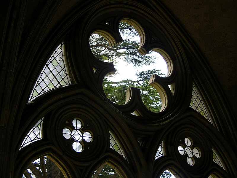 Through a glass...