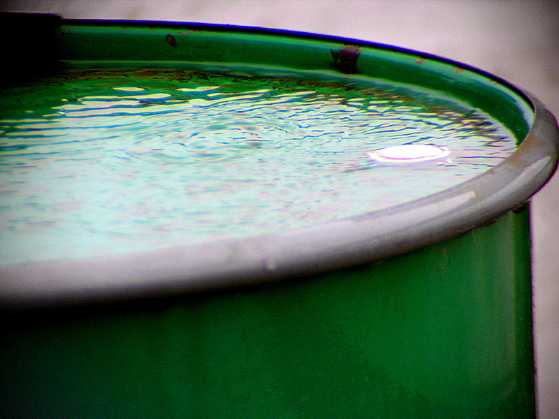 Slurp, slurp, slurp...<br>28 May 2006 (254)