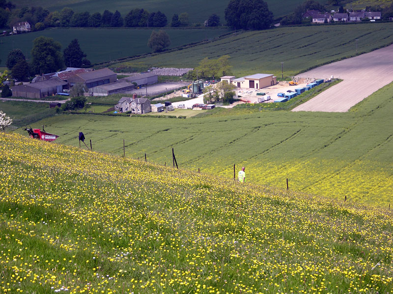 A man outstanding in his field