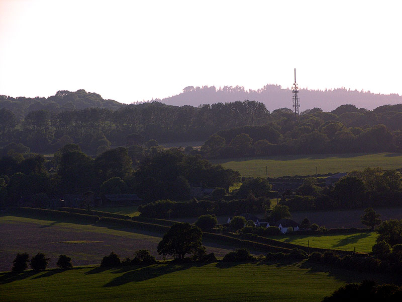 Towards Sutton Mandeville...