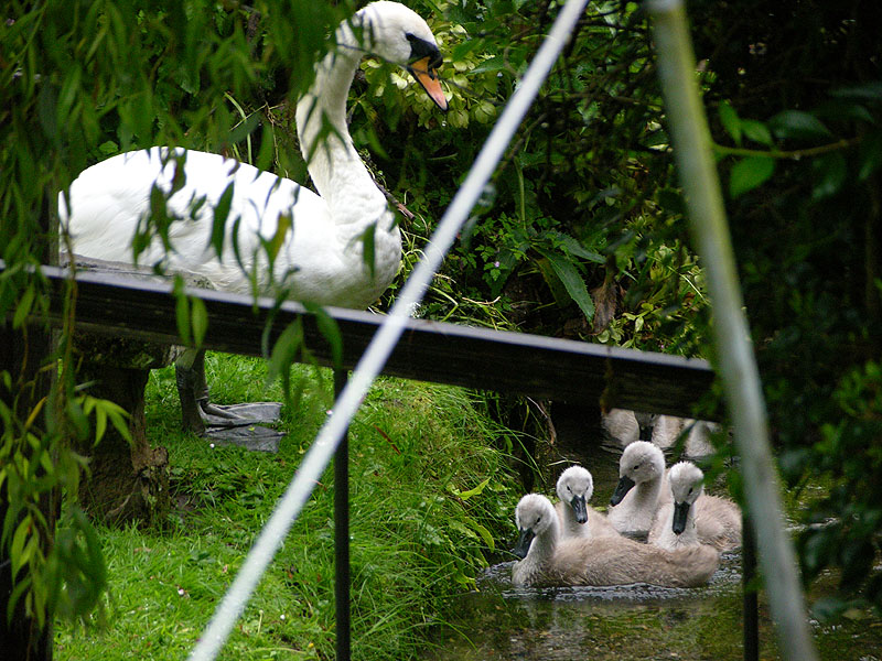 Standing guard