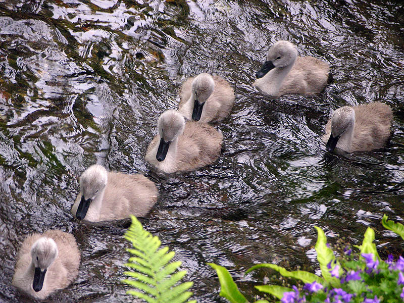 Breaking formation...