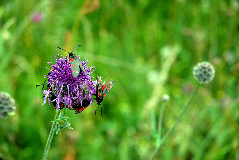 Fearful symmetry... (II)