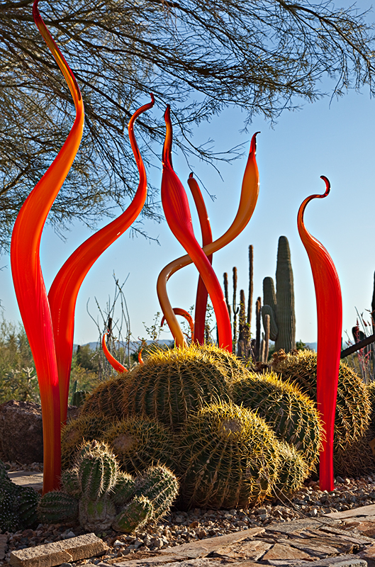 09-04 Chihuly 04.JPG