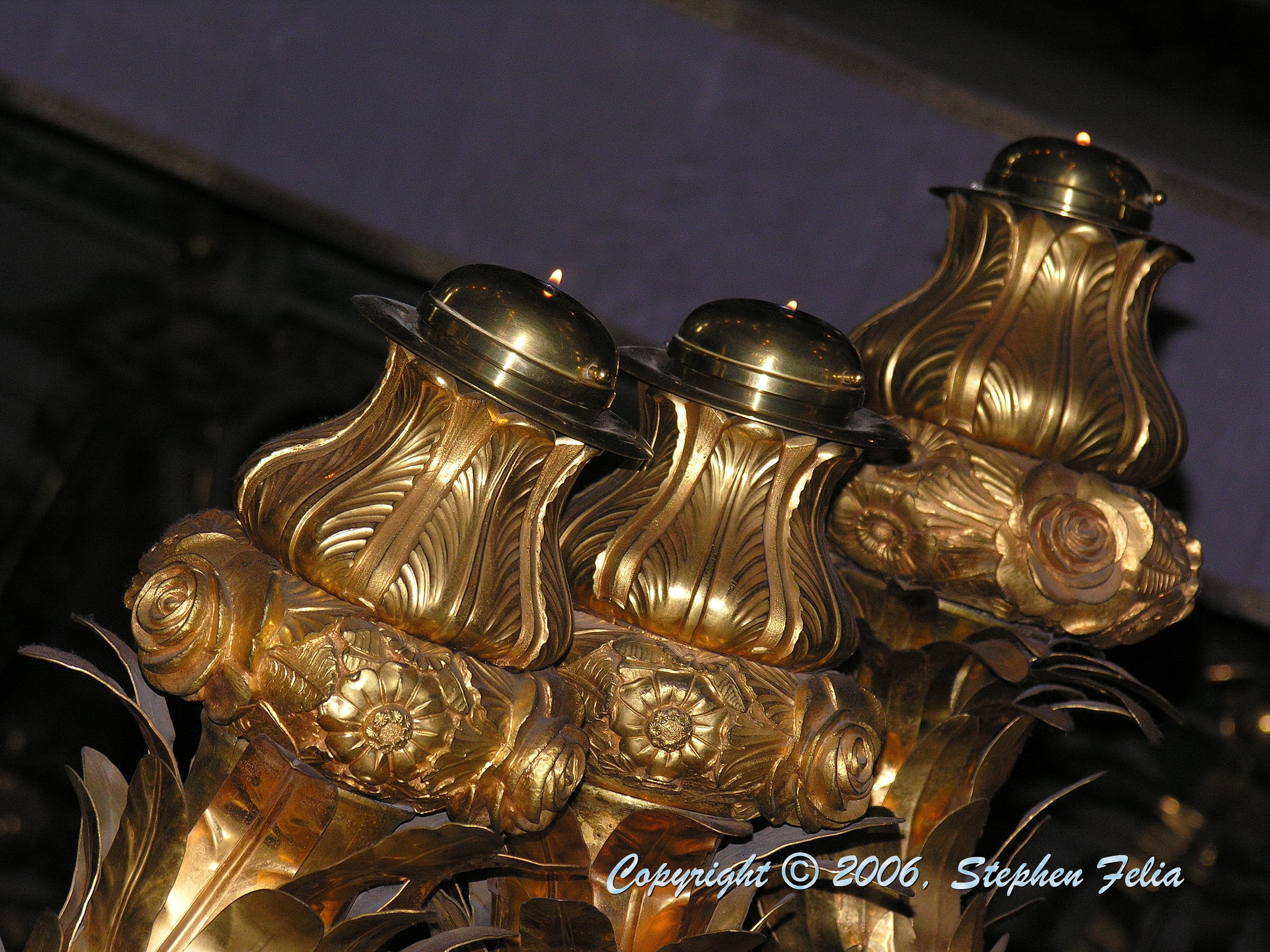 DSCN3394.jpg