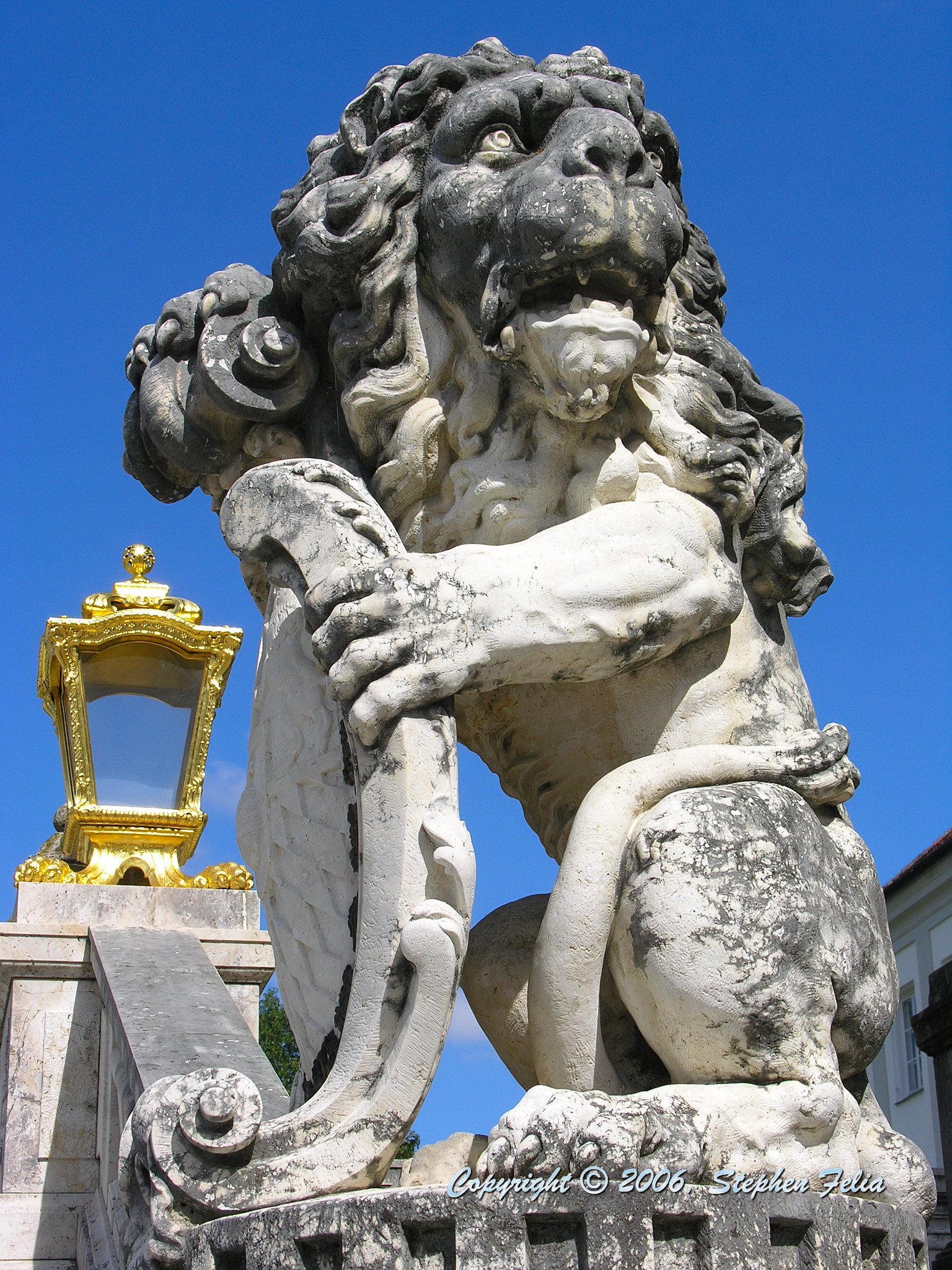 DSCN1995.jpg