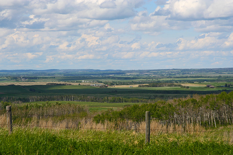 the distant horizon