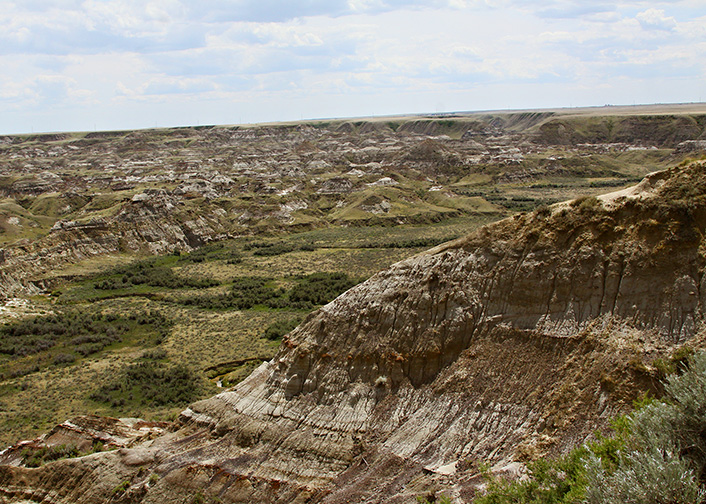 The view below ground level