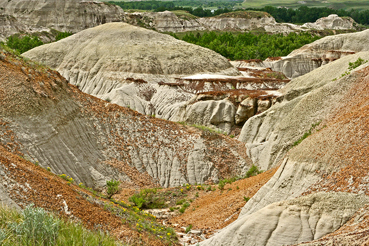 Prarie Trail, Dinosaur Provincial Park