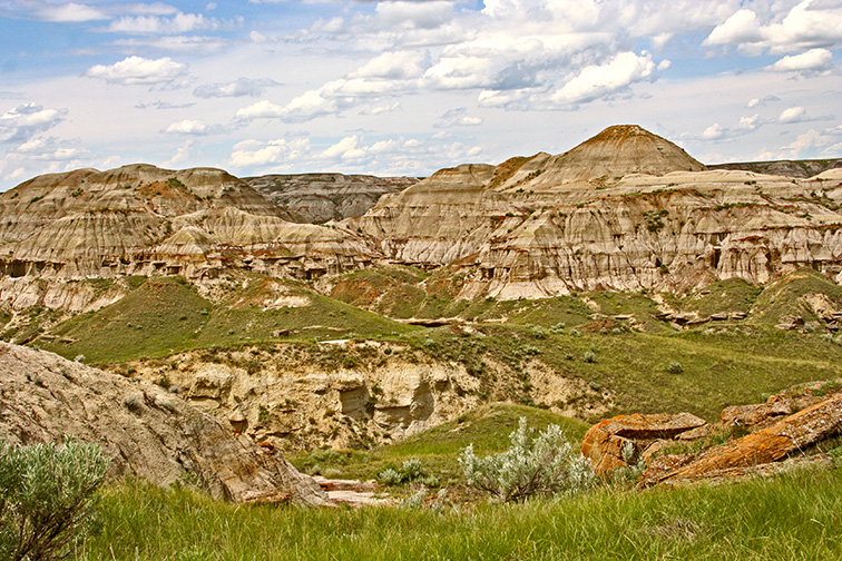 Cottonwood Flats Trail, Dinosaur Provincial Park