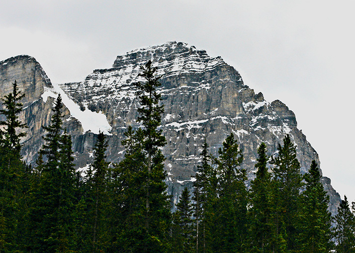 Mount Field
