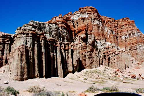 Mojave & Red Rock Canyon  135.jpg