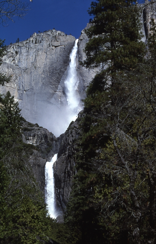 Scenes of Yosemite