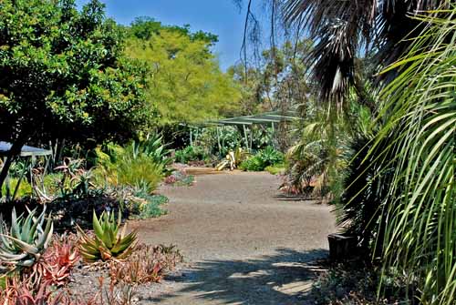 Ruth Bancroft Gardens