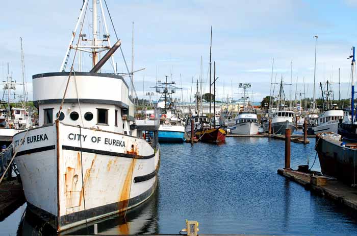 fishing fleet on furlough