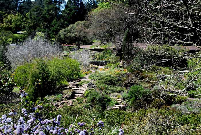 UC Botanical Gardens