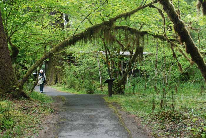 Olympic Peninsula