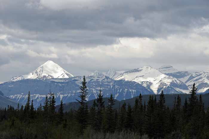 Jasper National Park