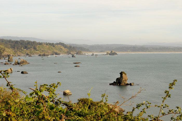 Northern California - Oregon Coast