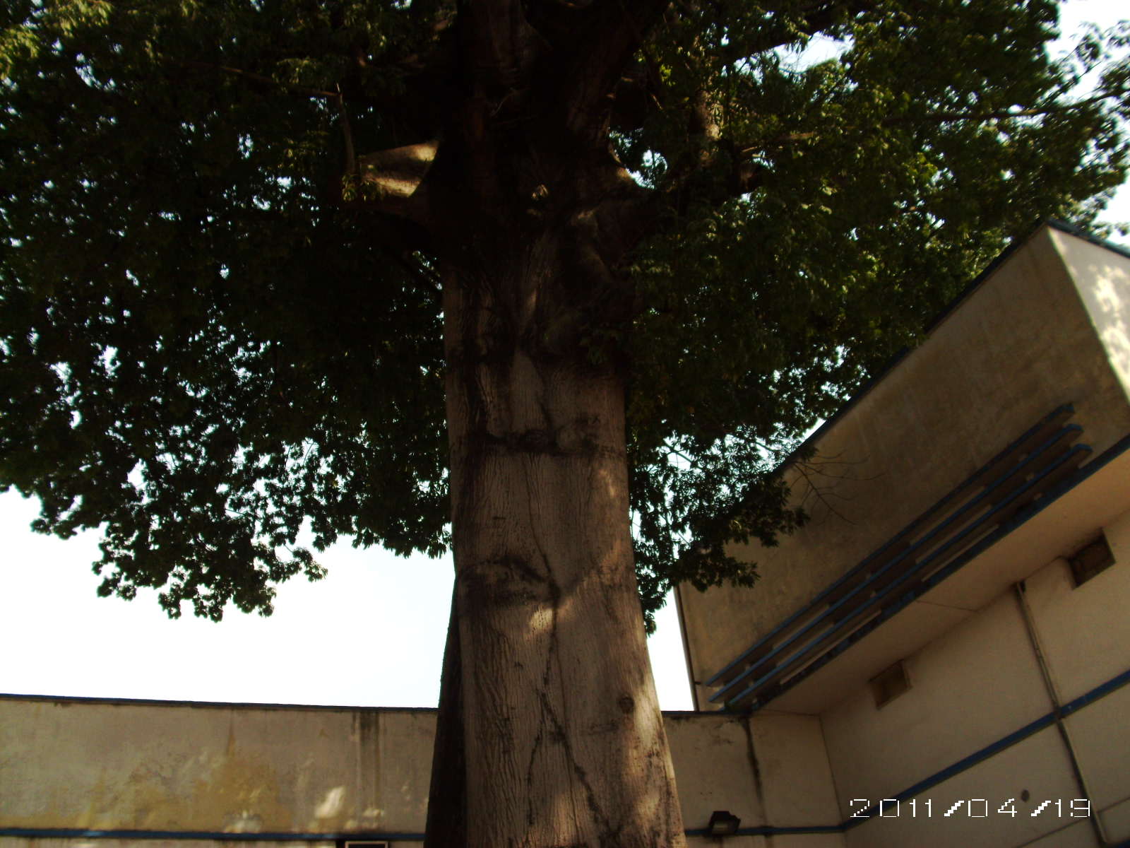 PICT0145.JPG