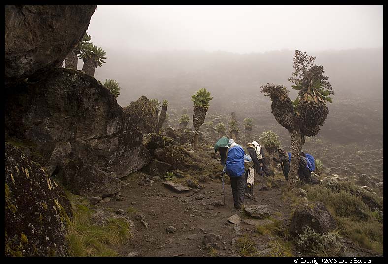 Kili_0750.3.jpg