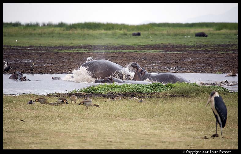 Manyara_2888.3.jpg