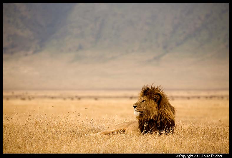 Ngorongoro_2474.3.jpg